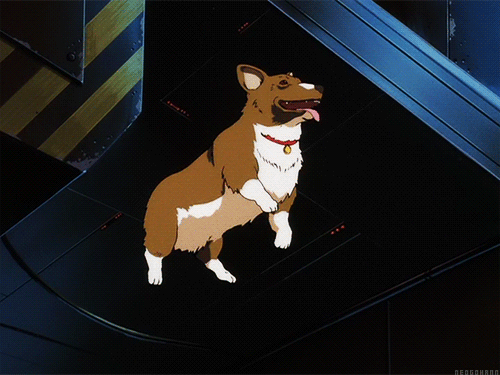 003F97B8-F99C-4D1D-B65C-FDDB86767C41.gif