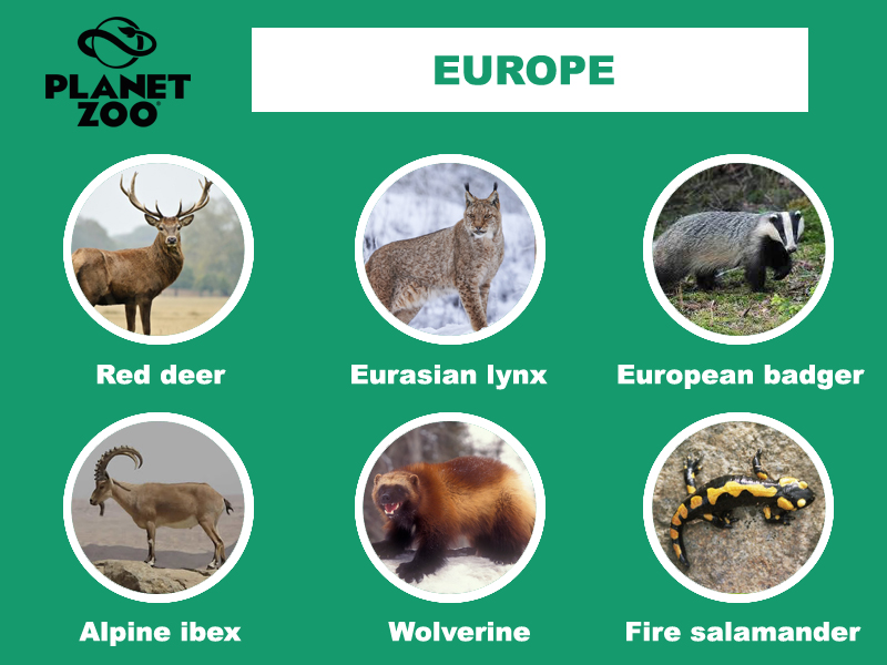 01 - 9 Europe copy.jpg