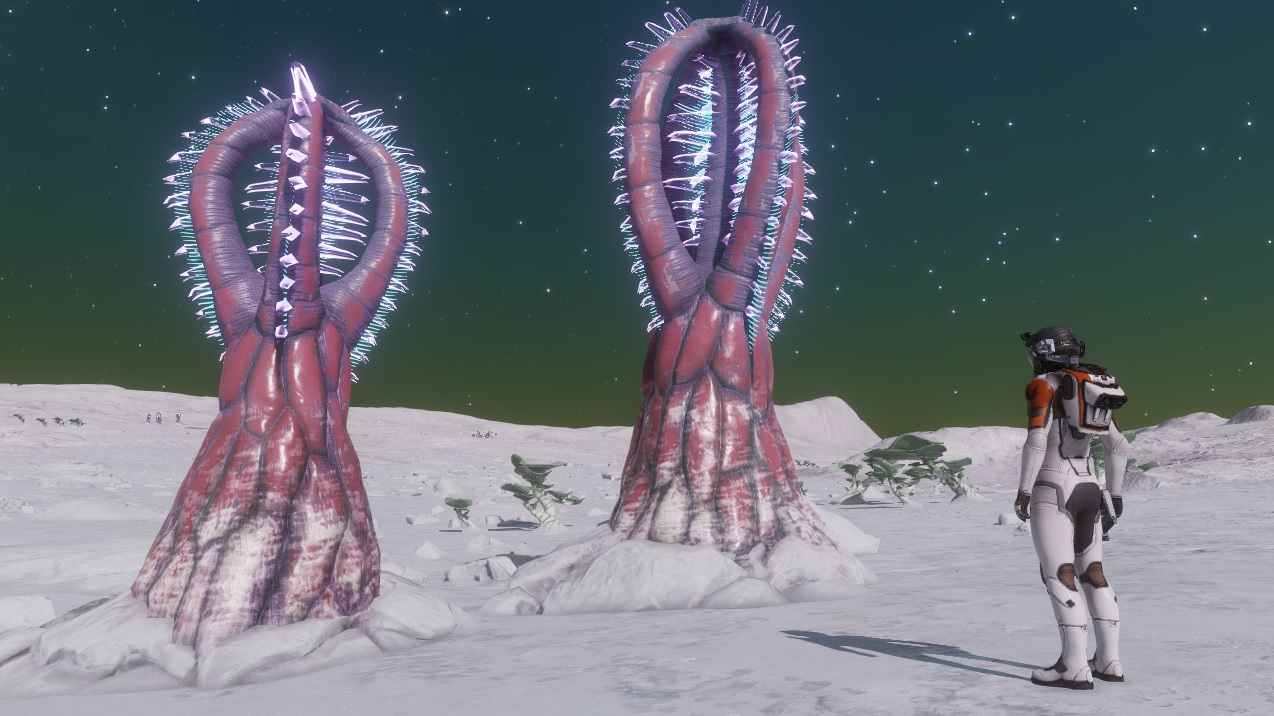 011495.jpg