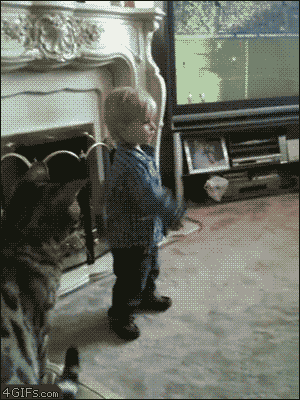 020-animals-vs-kids-cat-attacks-little-kid.gif