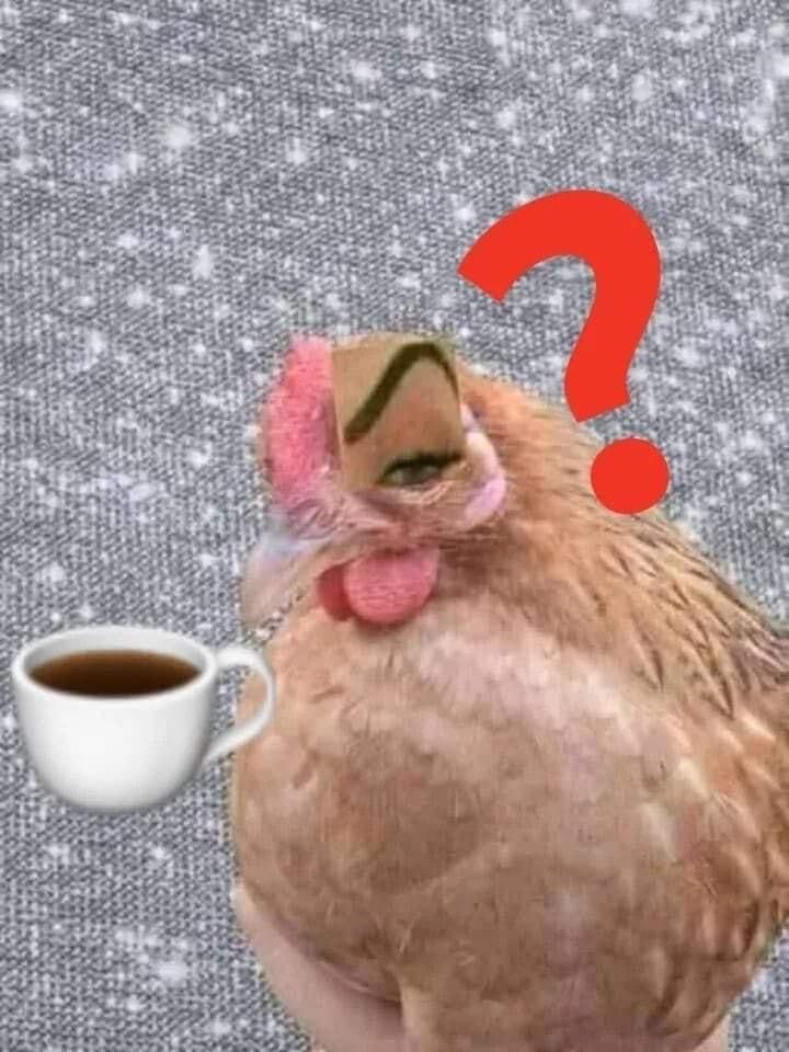 0d86965e0865e16bb51af647ef036059.jpg