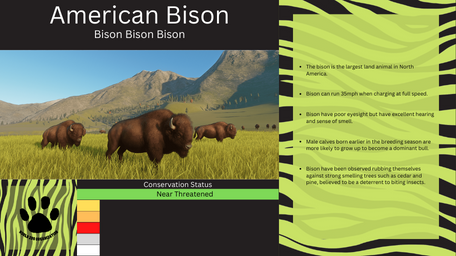 1 - PZ Info Boards - American Bison.png