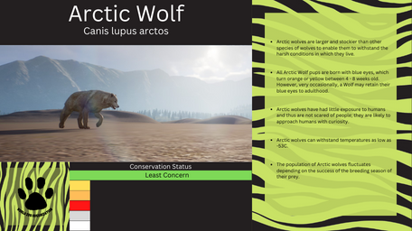 1 - PZ Info Boards - Arctic Wolf summer.png
