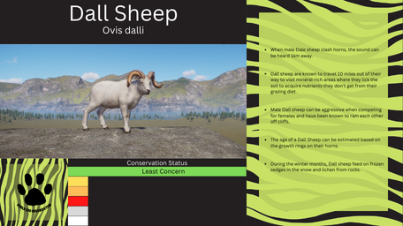1 - PZ Info Boards - Dall Sheep summer.png