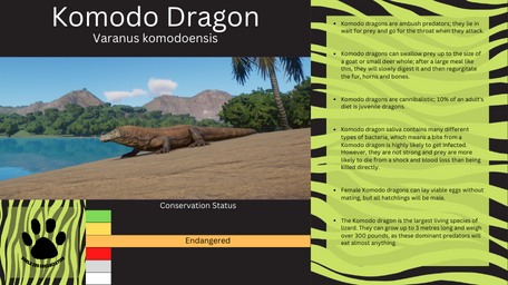 1 - PZ Info Boards - Komodo Dragon.png