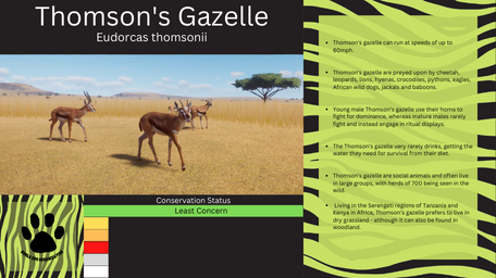 1 - PZ Info Boards - Thomson's Gazelle.png