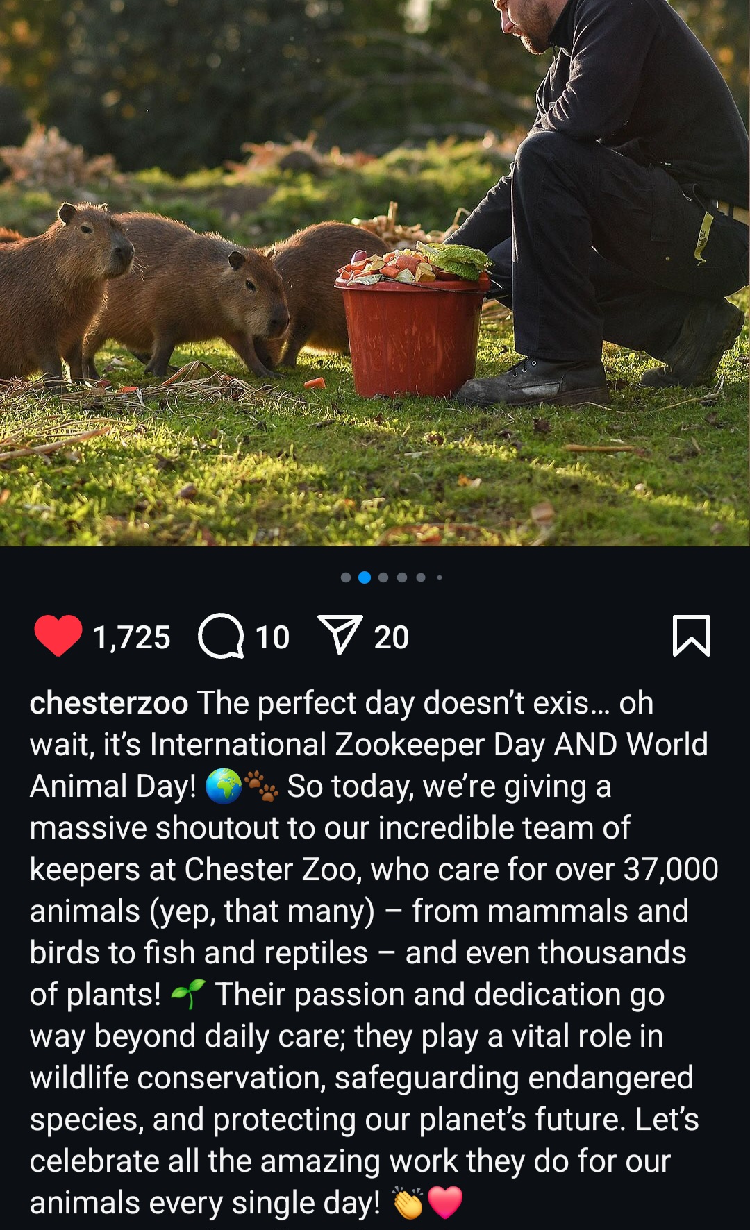 1000010030.jpg