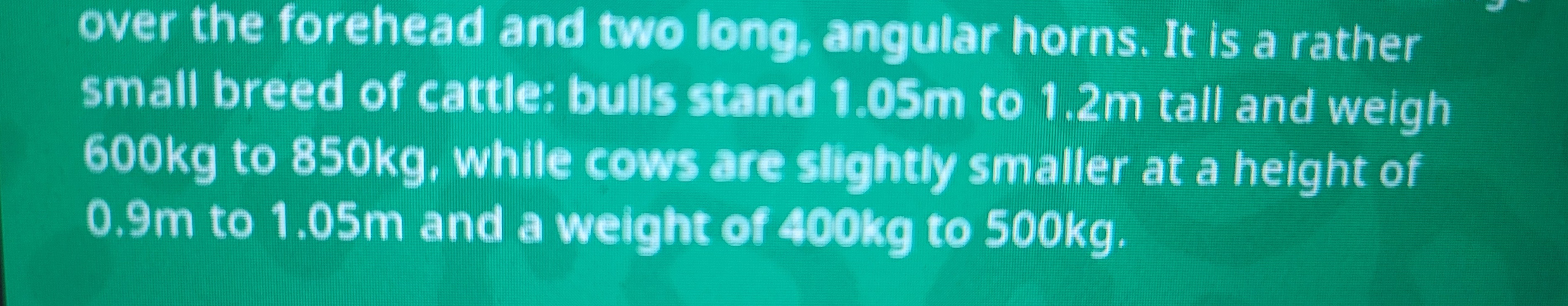 1000019549.jpg