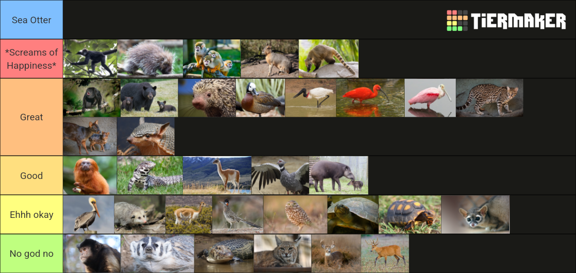 1000025542.png