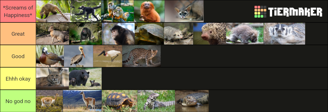 1000028130.png