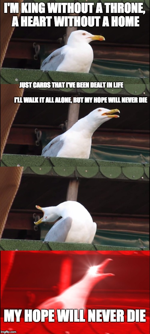 1000028472.jpg
