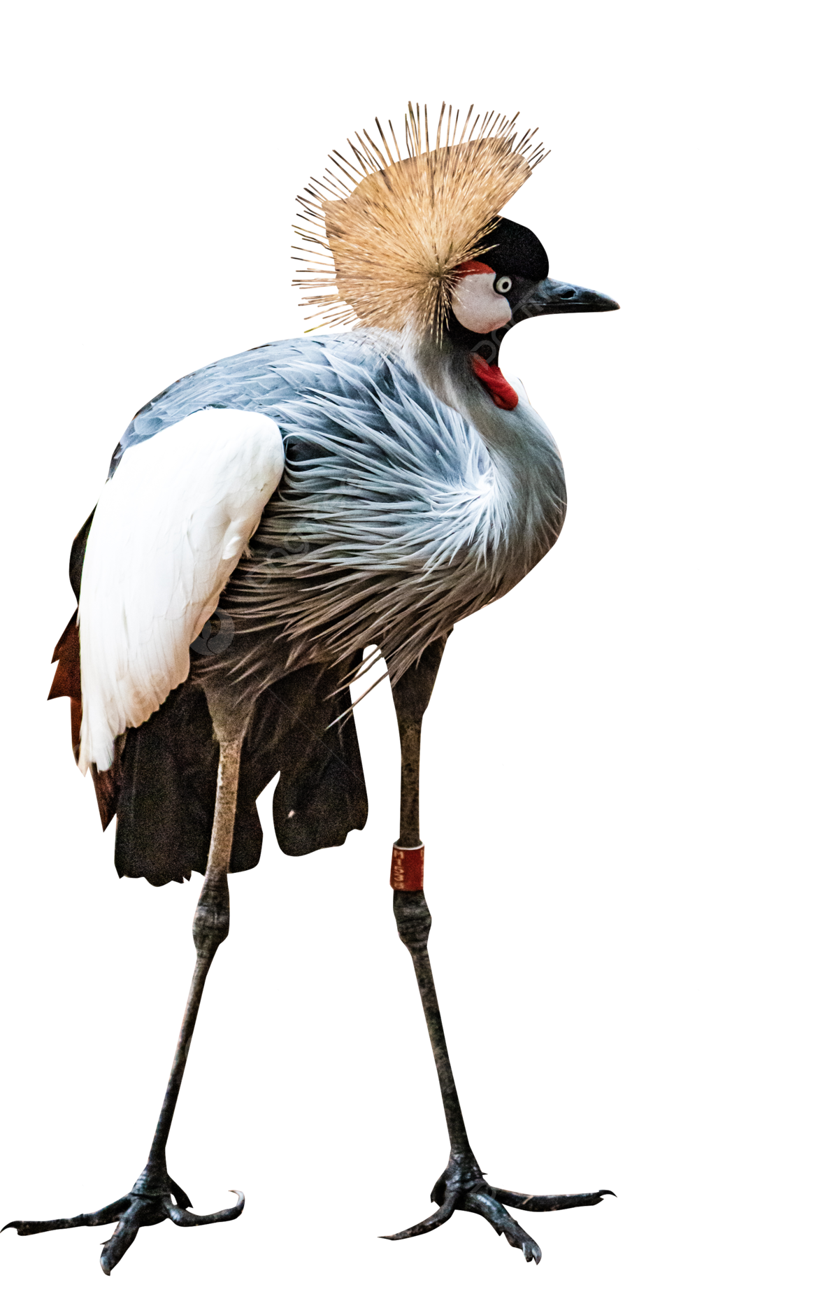 1000028474.png
