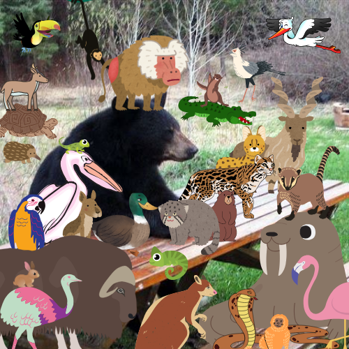 1000040498.png