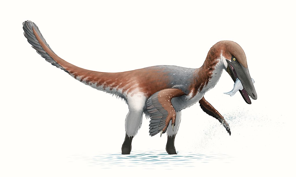 1024px-Austroraptor_Reconstruction.jpg