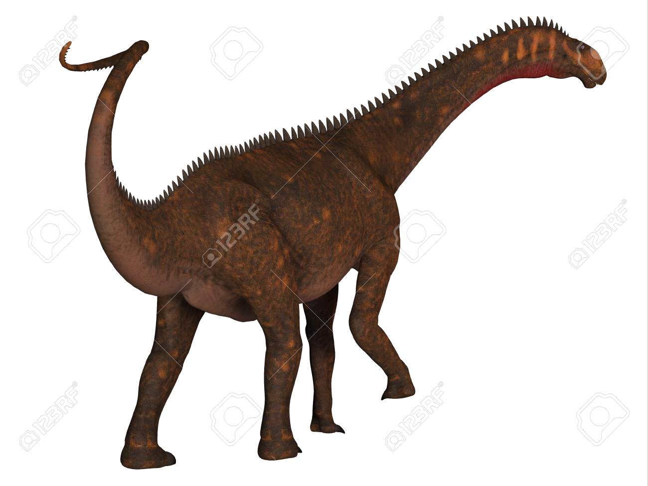 105257245-mierasaurus-was-a-herbivorous-sauropod-dinosaur-that-lived-in-utah-usa-during-the-cr...jpg