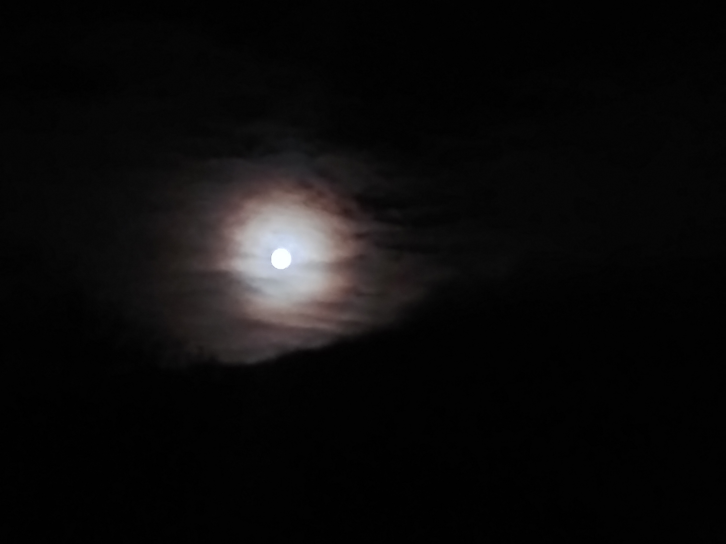 1119211748a_HDR.jpg