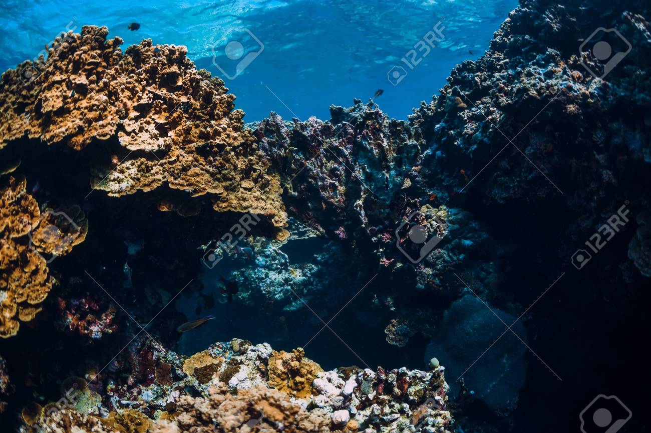 112530944-underwater-rocks-with-coral-reef-in-ocean-menjangan-island-bali.jpg