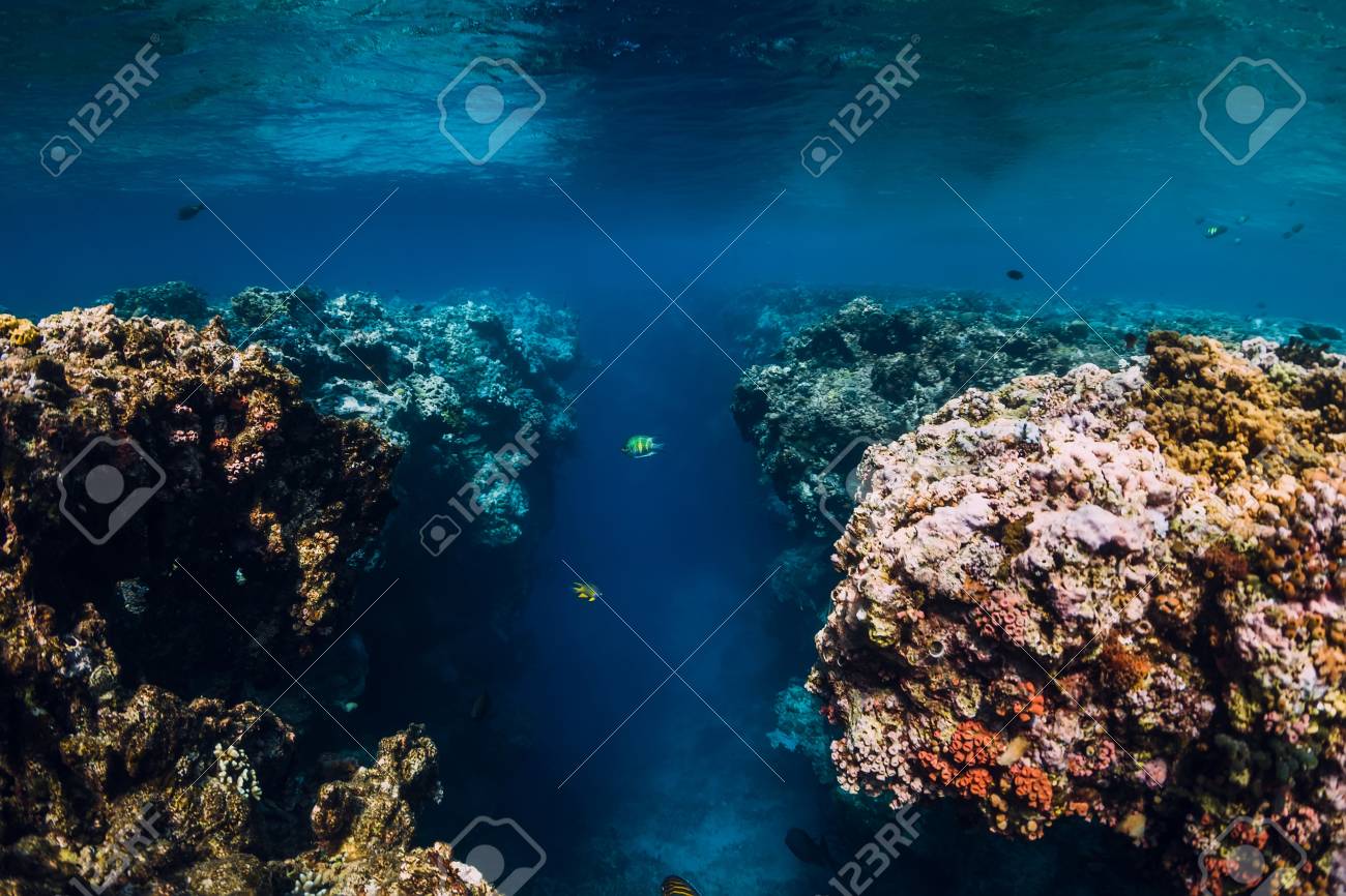 113844082-underwater-rocks-with-corals-in-blue-ocean-national-park-menjangan-island.jpg