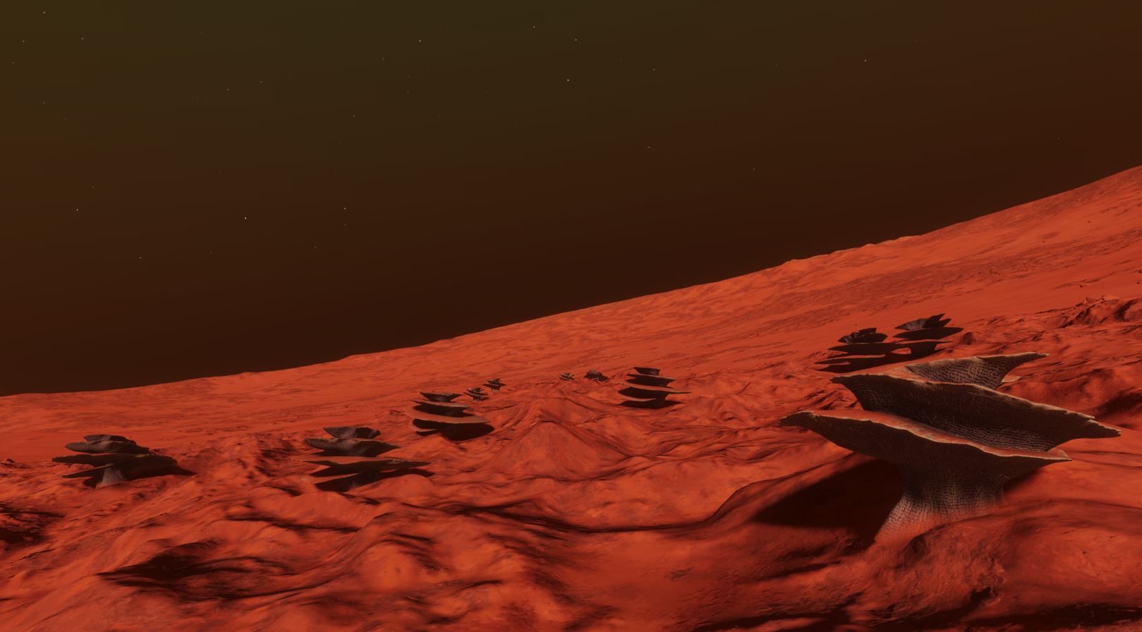 11f.JPG