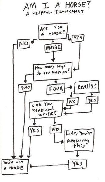 12-Am-I-a-horse-flowchart.jpg