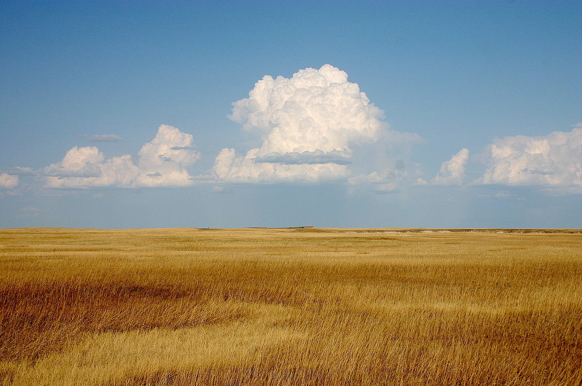 1200px-Cumulus_Clouds_over_Yellow_Prairie2.jpg