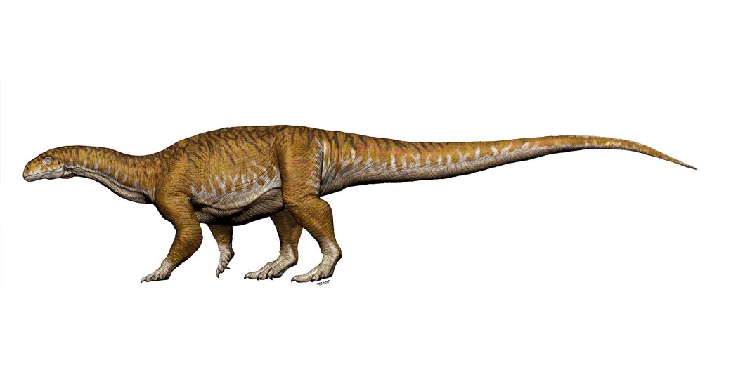 12TB-DINO1-facebookJumbo.jpg