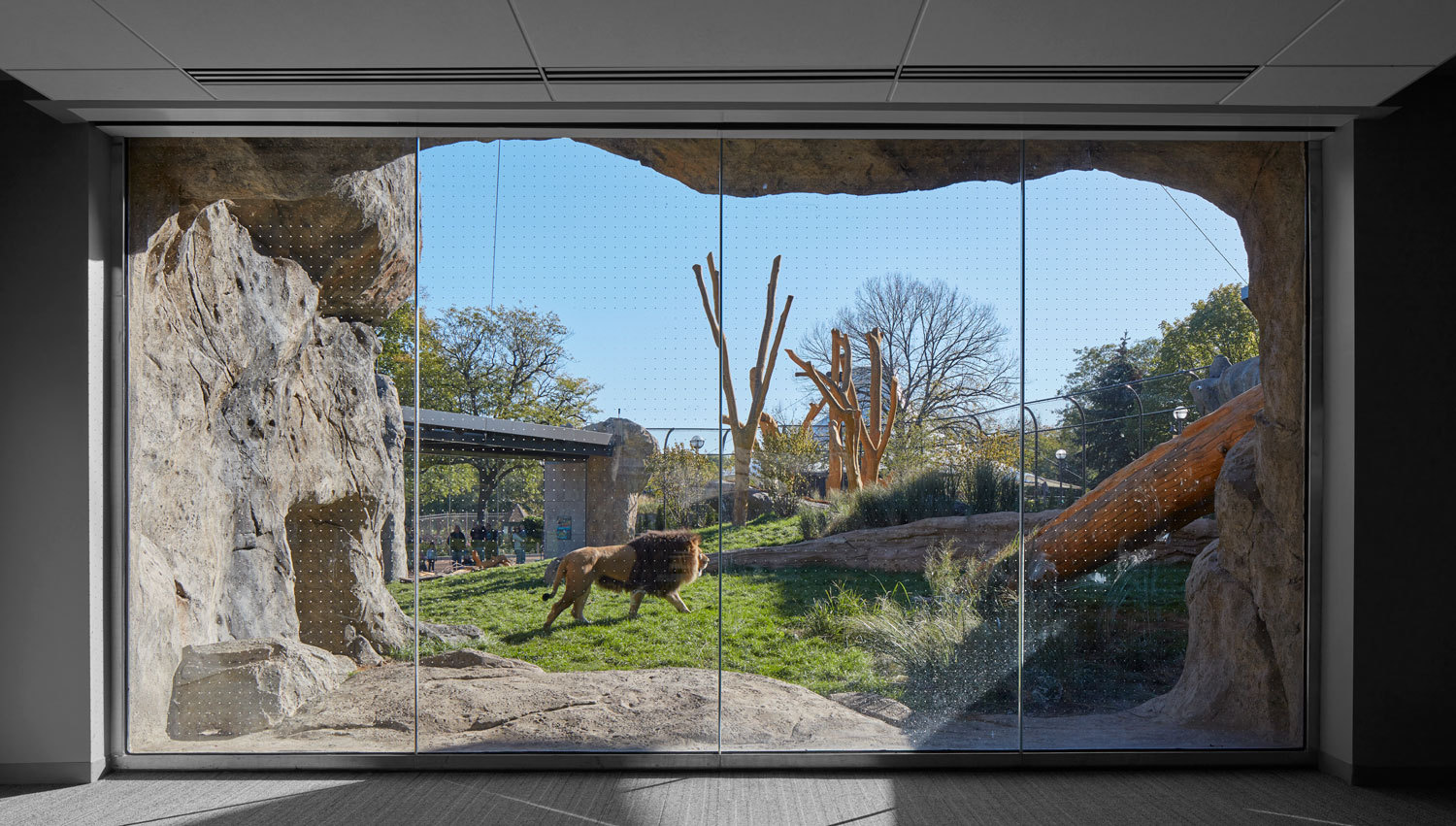 13_LPZ_Pepper_Family_Wildlife_Center_View_from_Conference_Room.jpg