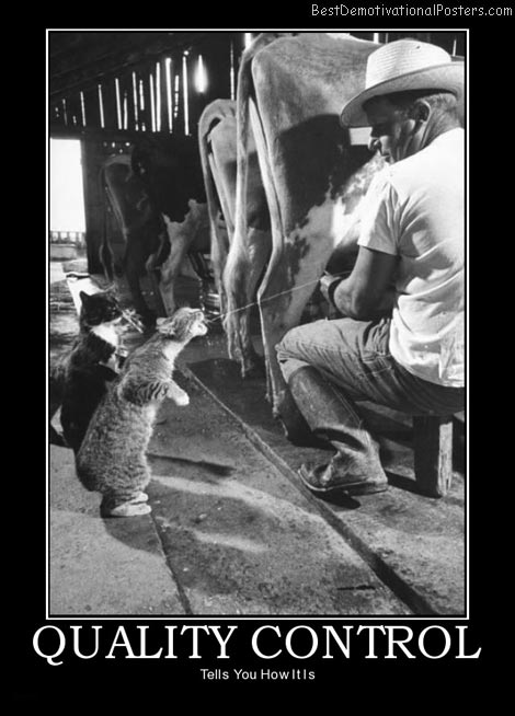 153475468-quality-control-cow-cats-best-demotivational-posters.jpg