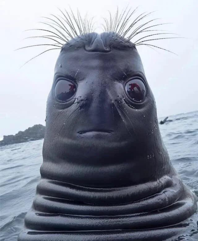 1579001265636.png