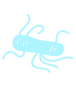 1591271570826.png