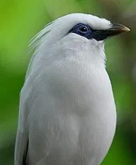 1597119361779.png