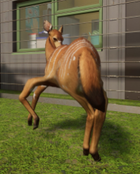1599701695686.png