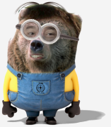 1604655777600.png