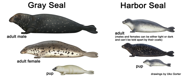 1605793996509.png