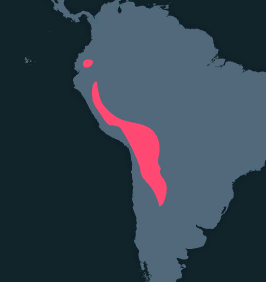 1621856807289.png