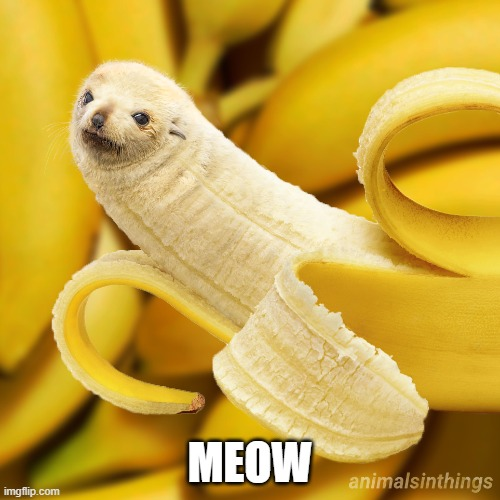 1623948144337.png
