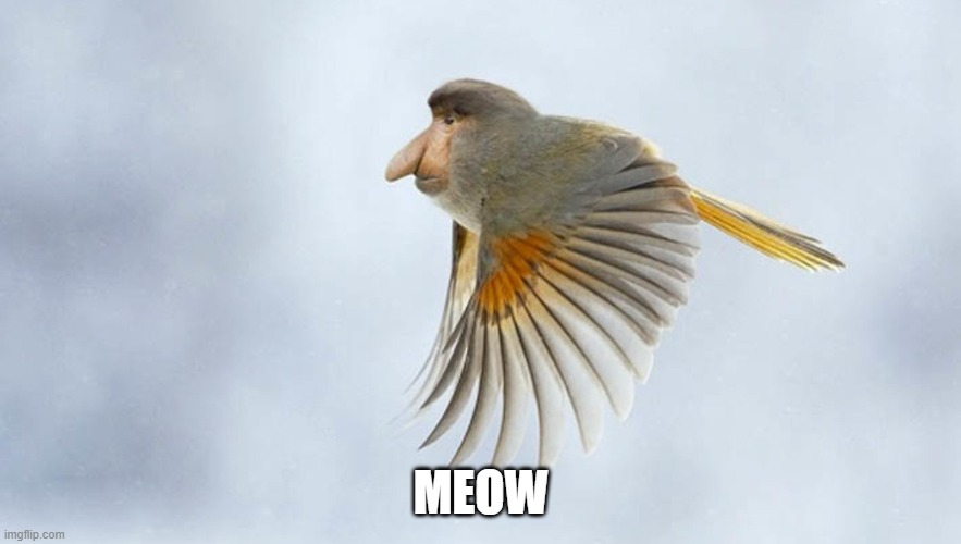 1623958075338.png
