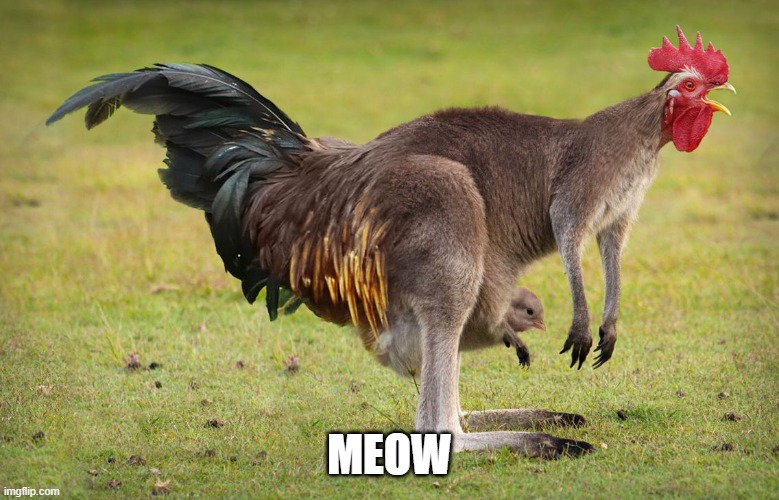 1623958239618.png