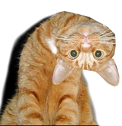 1624009631487.png