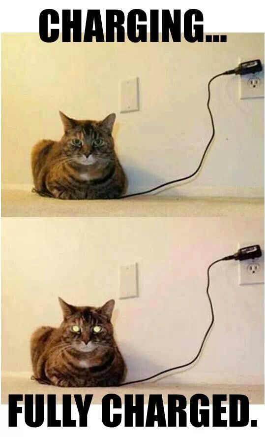 1624342805470.jpeg