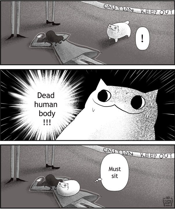 1624532072503.jpeg