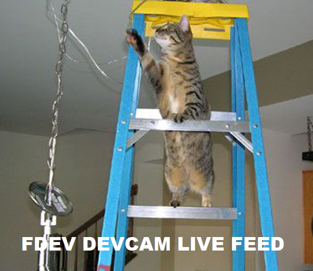 1625072177773.png