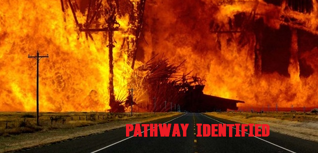 1625079952235.png