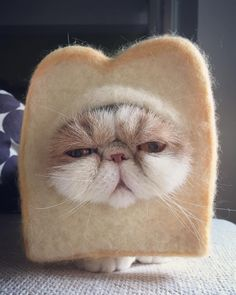 1625092371527.png