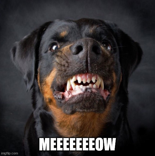 1625093981543.png