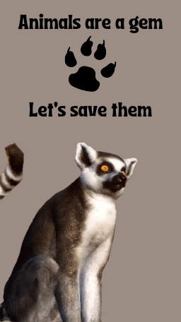 1625163498393.png