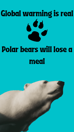 1625172055258.png