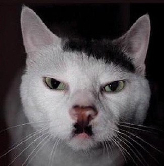1625576153676.png