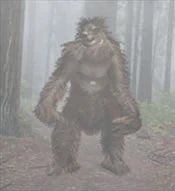 1625689410211.png