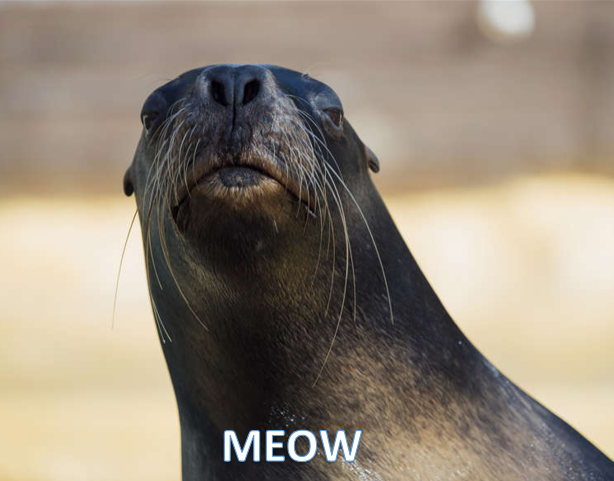 1627580903400.png